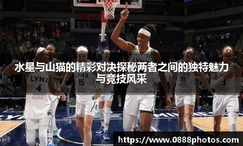 水星与山猫的精彩对决探秘两者之间的独特魅力与竞技风采